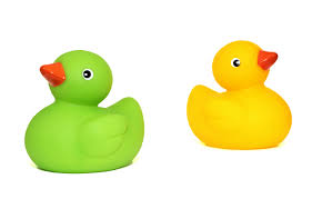 Duck Toy